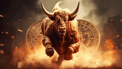 Next Crypto Bull Run