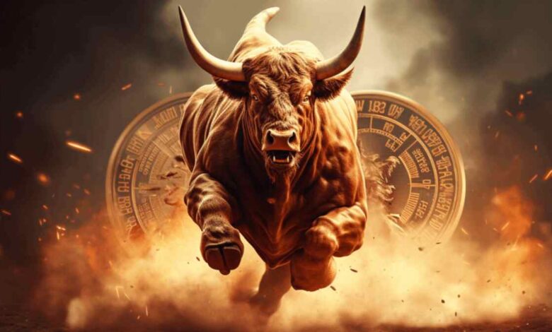 Next Crypto Bull Run