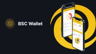 Wallets (BSC)