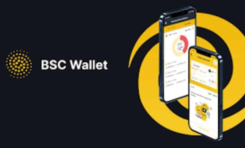 Wallets (BSC)