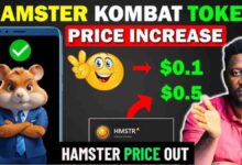 Hamster Kombat Price