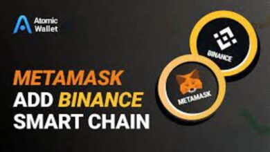 Smart Chain Meta Mask