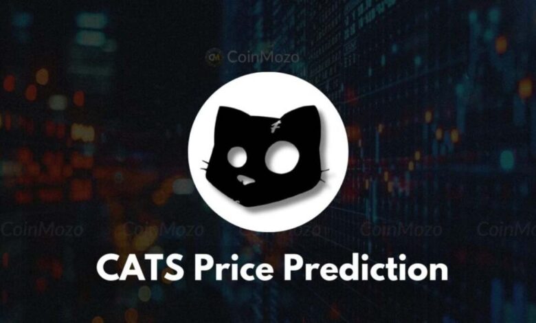 Cat Coin Price Prediction