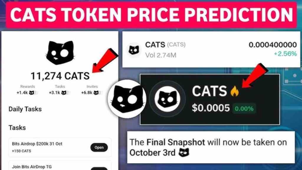 Cat Coin Price Prediction